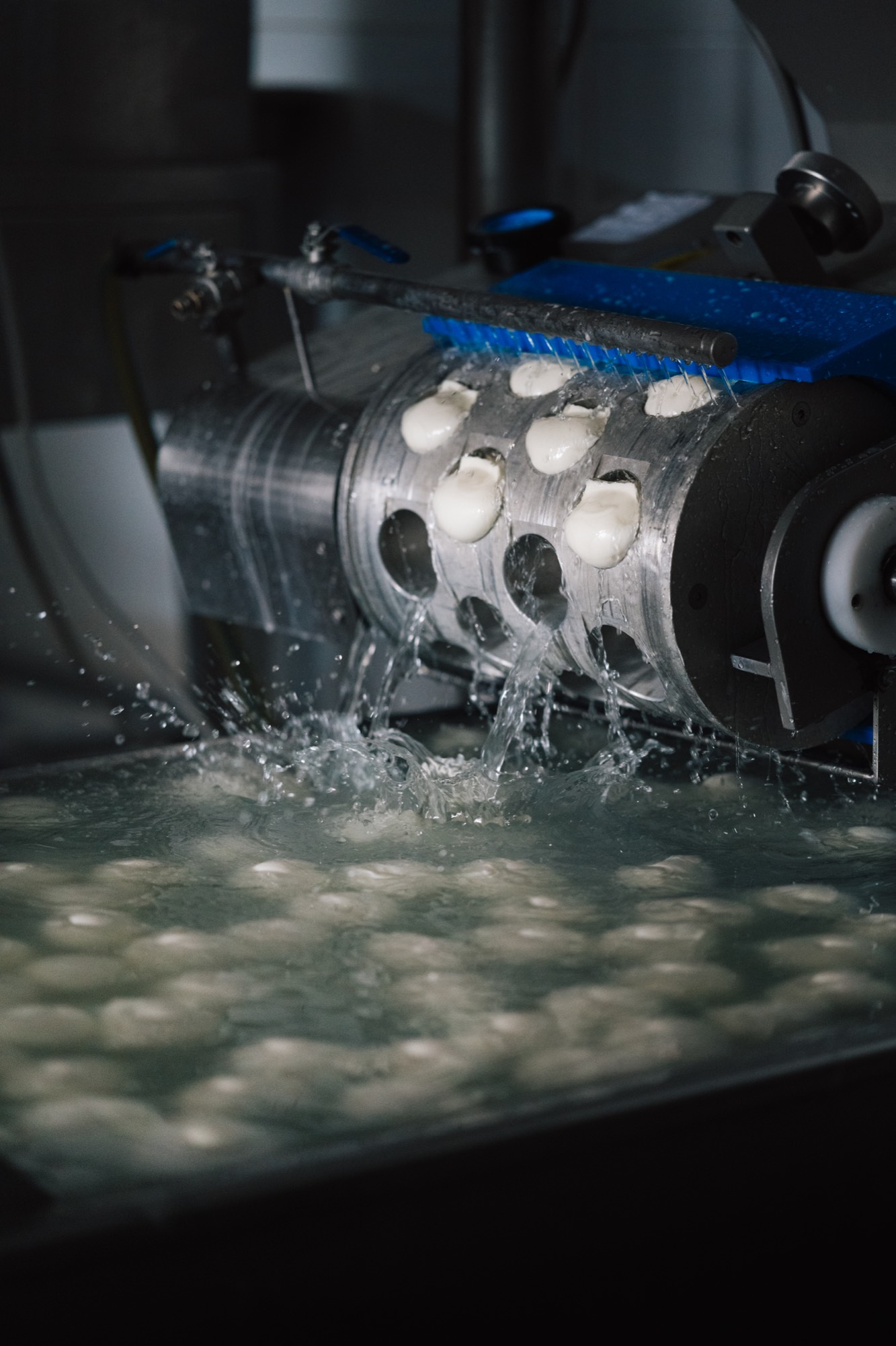 Lorem Ipsum, Franco Pepe