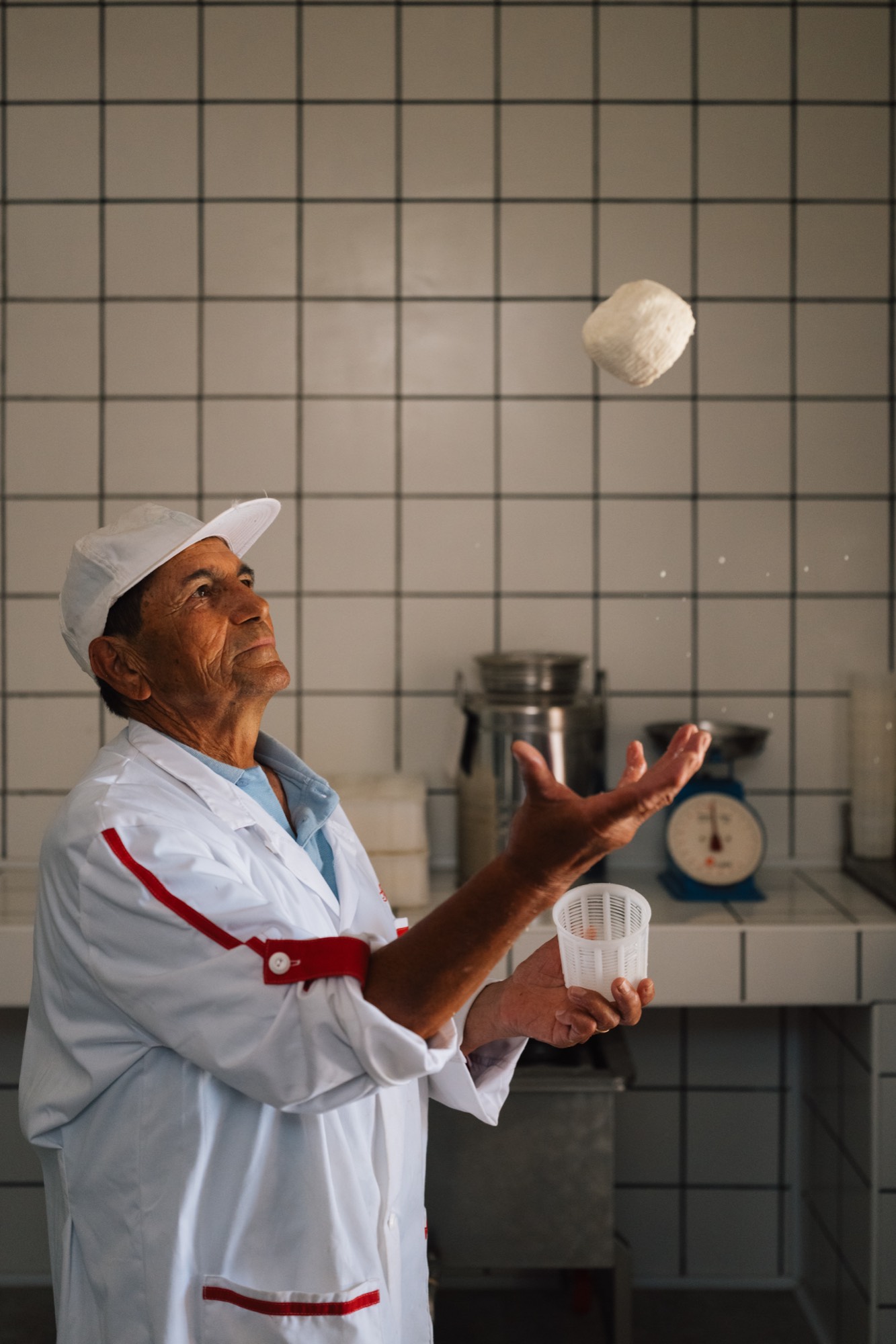 Lorem Ipsum, Franco Pepe