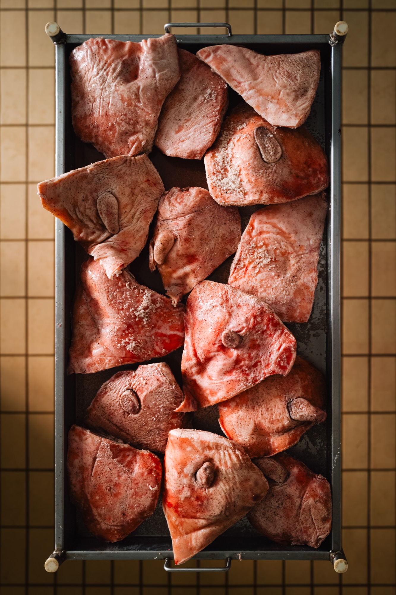 Lorem Ipsum, Franco Pepe