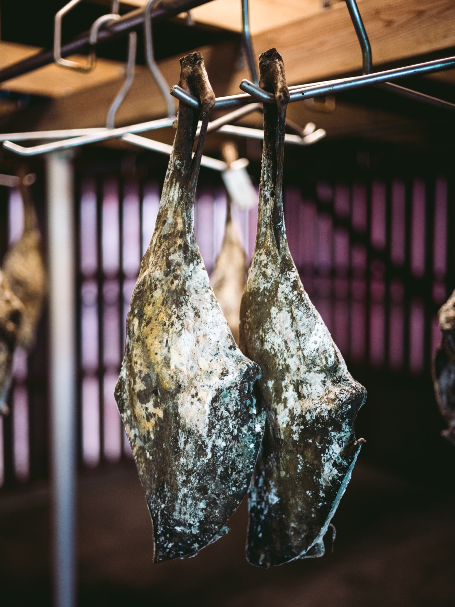 Lorem Ipsum, Faroe Islands