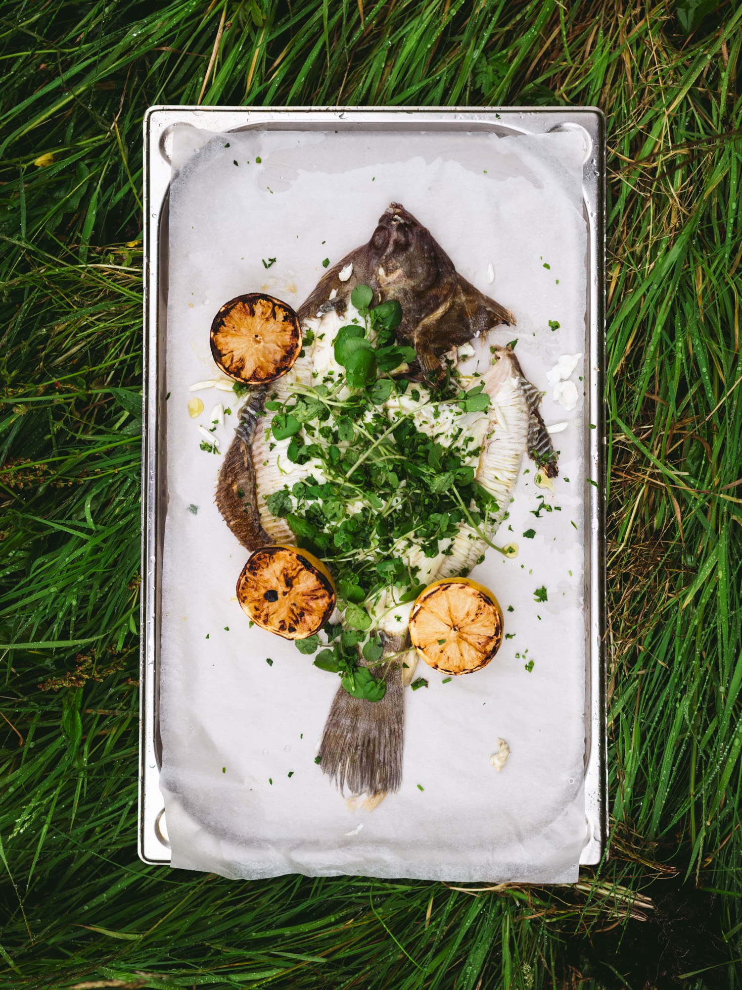 Lorem Ipsum, Faroe Islands