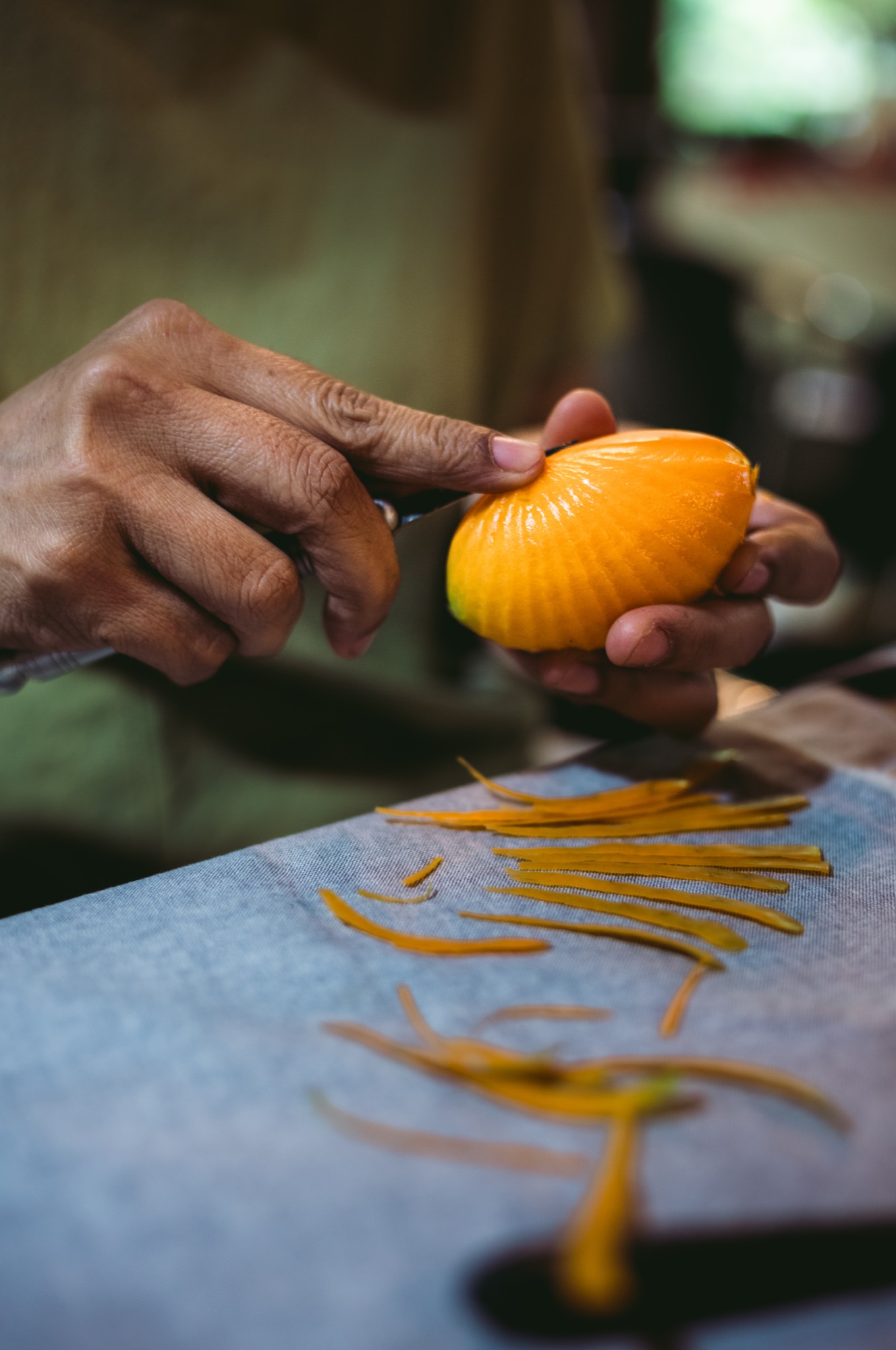 Lorem Ipsum, Thailand