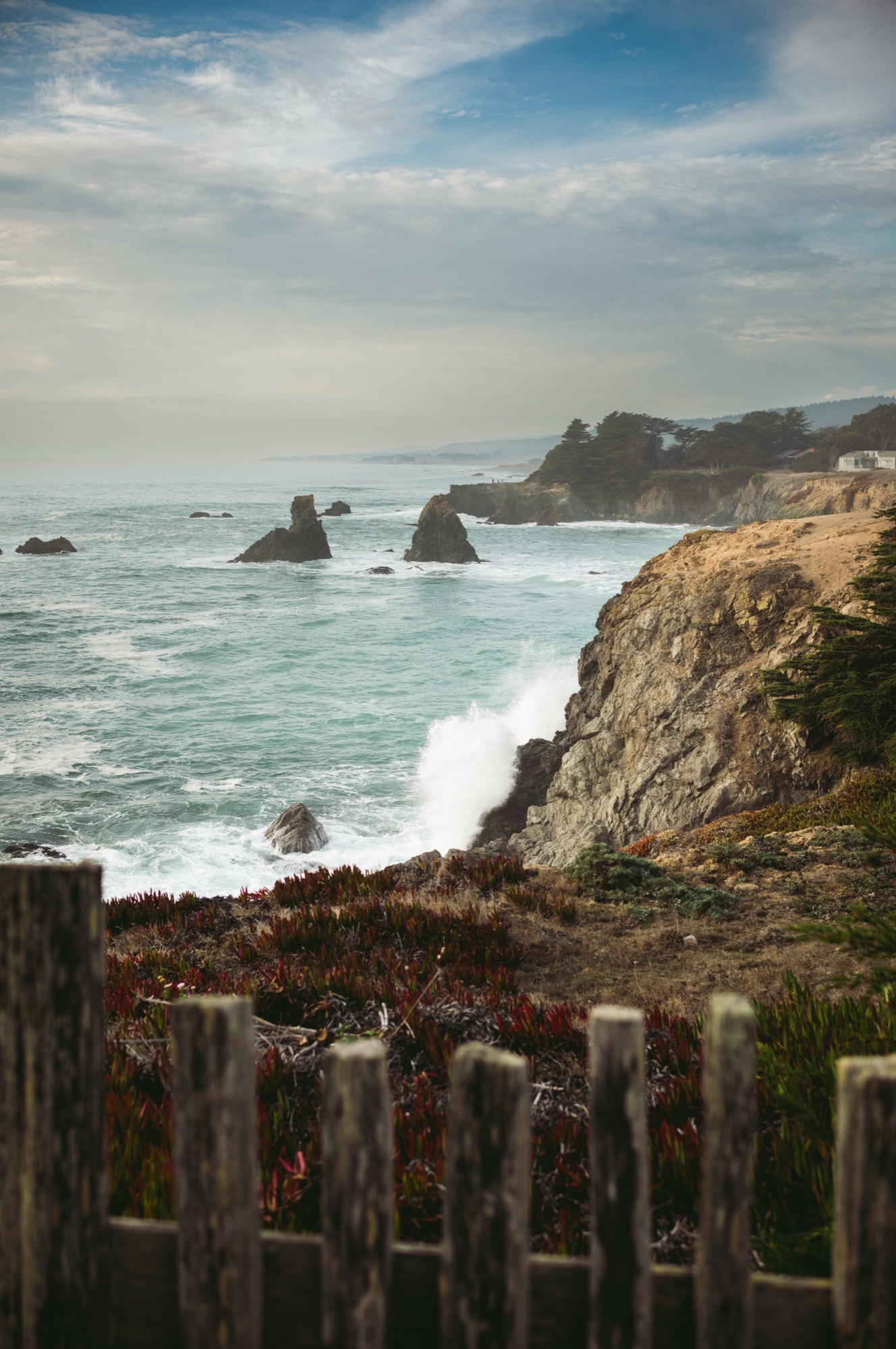 Lorem Ipsum, United States