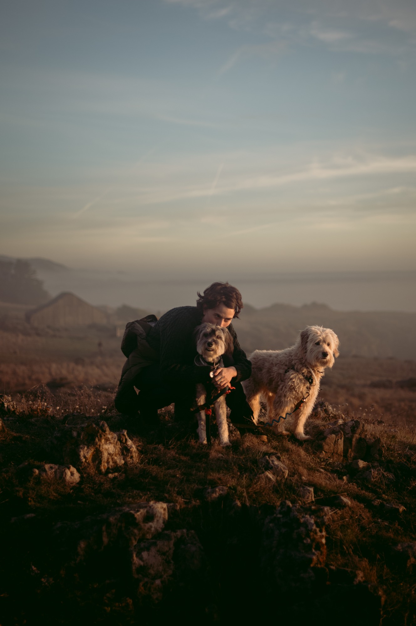 Lorem Ipsum, United States