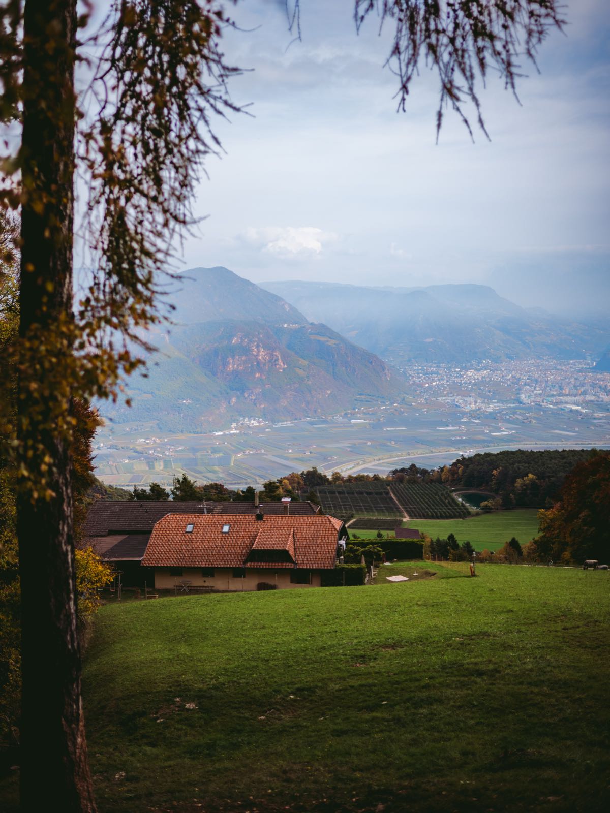 The Jakob and Ethel Evangelist