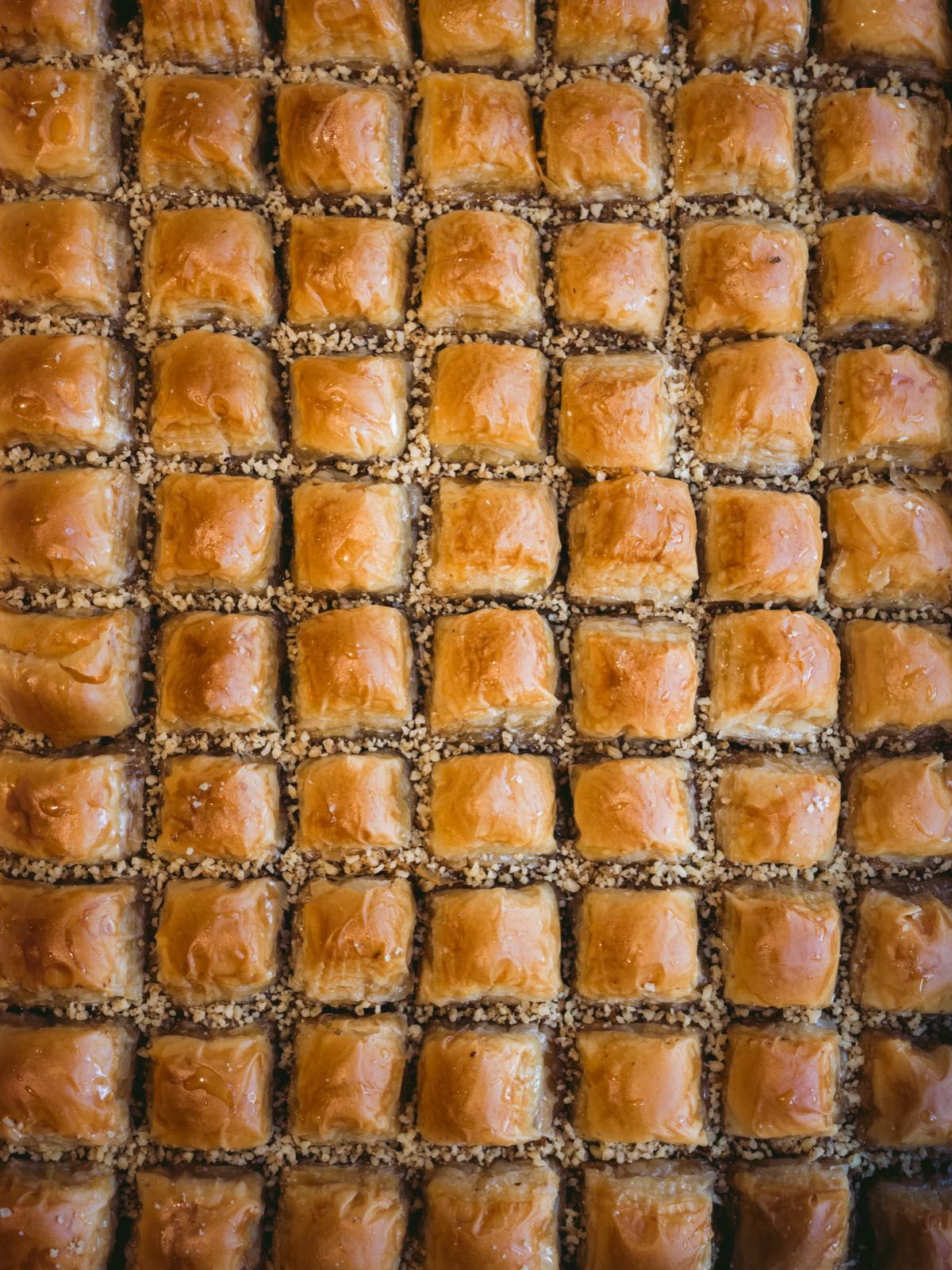 Tolgay, the Obsessive Dreamer